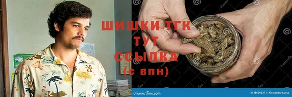 твердый Алзамай